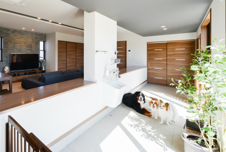 【ペット×注文住宅】犬や猫と暮らす家の間取り実例を紹介