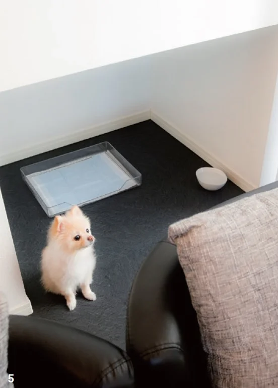 リビングの階段下の低い空間には、ペットのおトイレ空間。